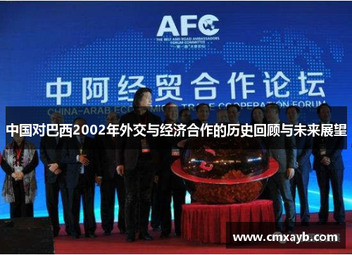 中国对巴西2002年外交与经济合作的历史回顾与未来展望