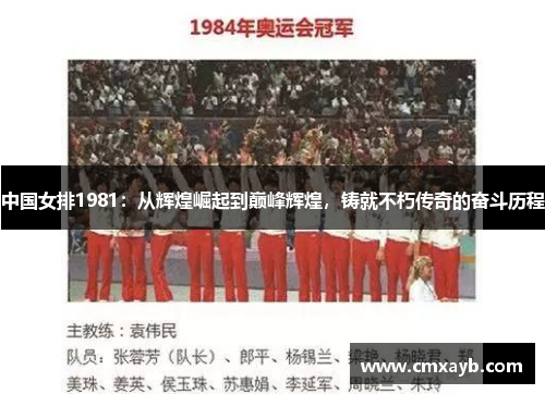 中国女排1981：从辉煌崛起到巅峰辉煌，铸就不朽传奇的奋斗历程